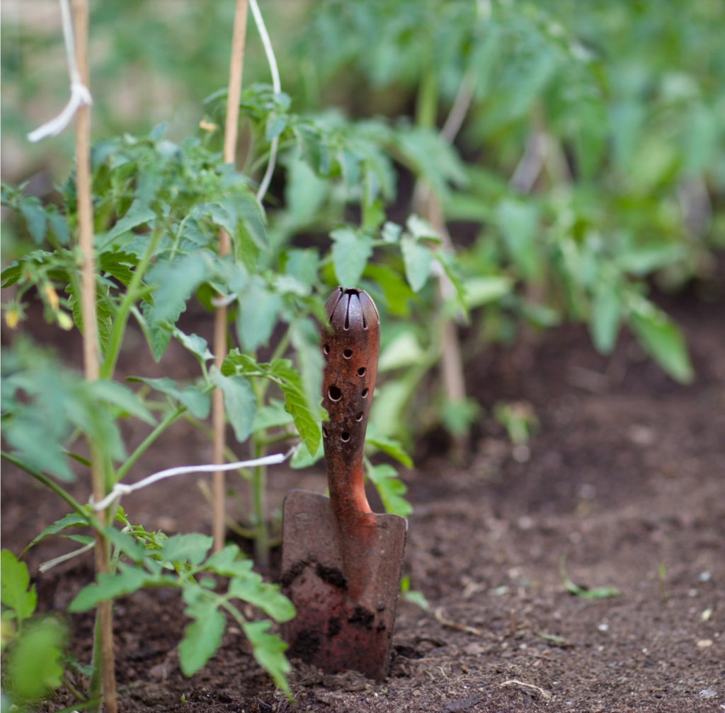 Gardening